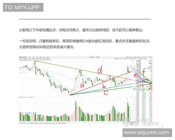 重庆篮球队与武汉篮球队赛后技术分析与战术复盘